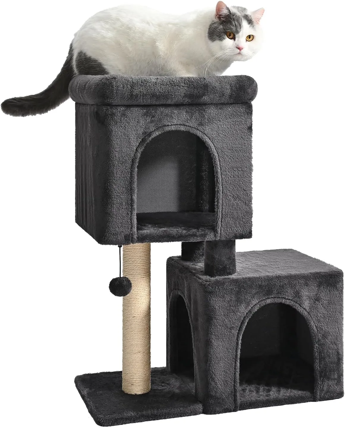 Amazon Basics 30 inch 2 Story Condo Cat Tree with Scratching Posts for Indoor, with Cozy Perch, Replaceable Dangling Balls, Dark Gray