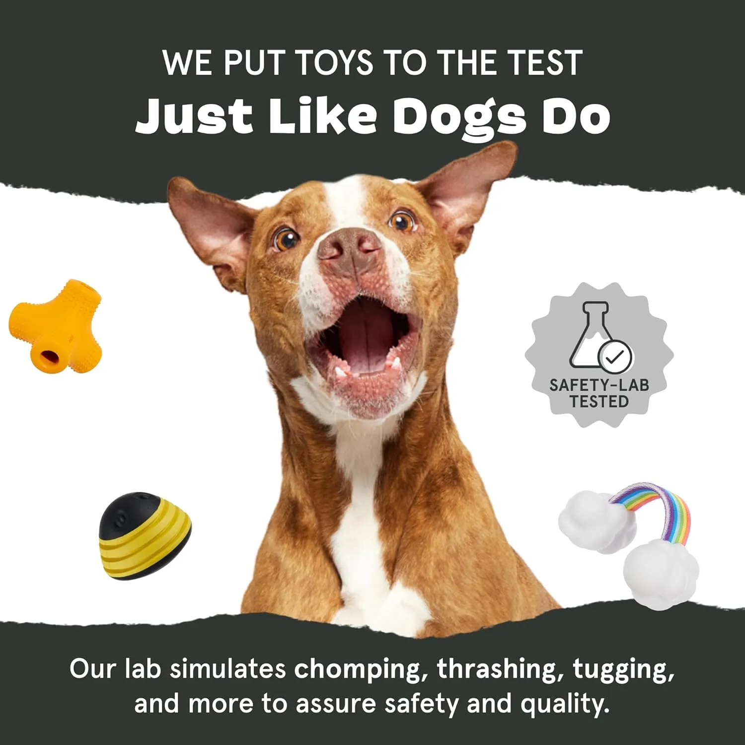 Barkbox Super Chewer Tough Dog Chew Toys for Aggressive Chewers, Dental Stimulating (T Bone - Large)