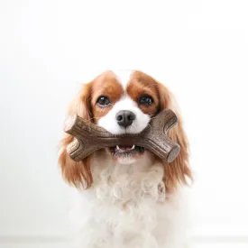 Benebone Flavored Stick Tough Dog Chew Toy