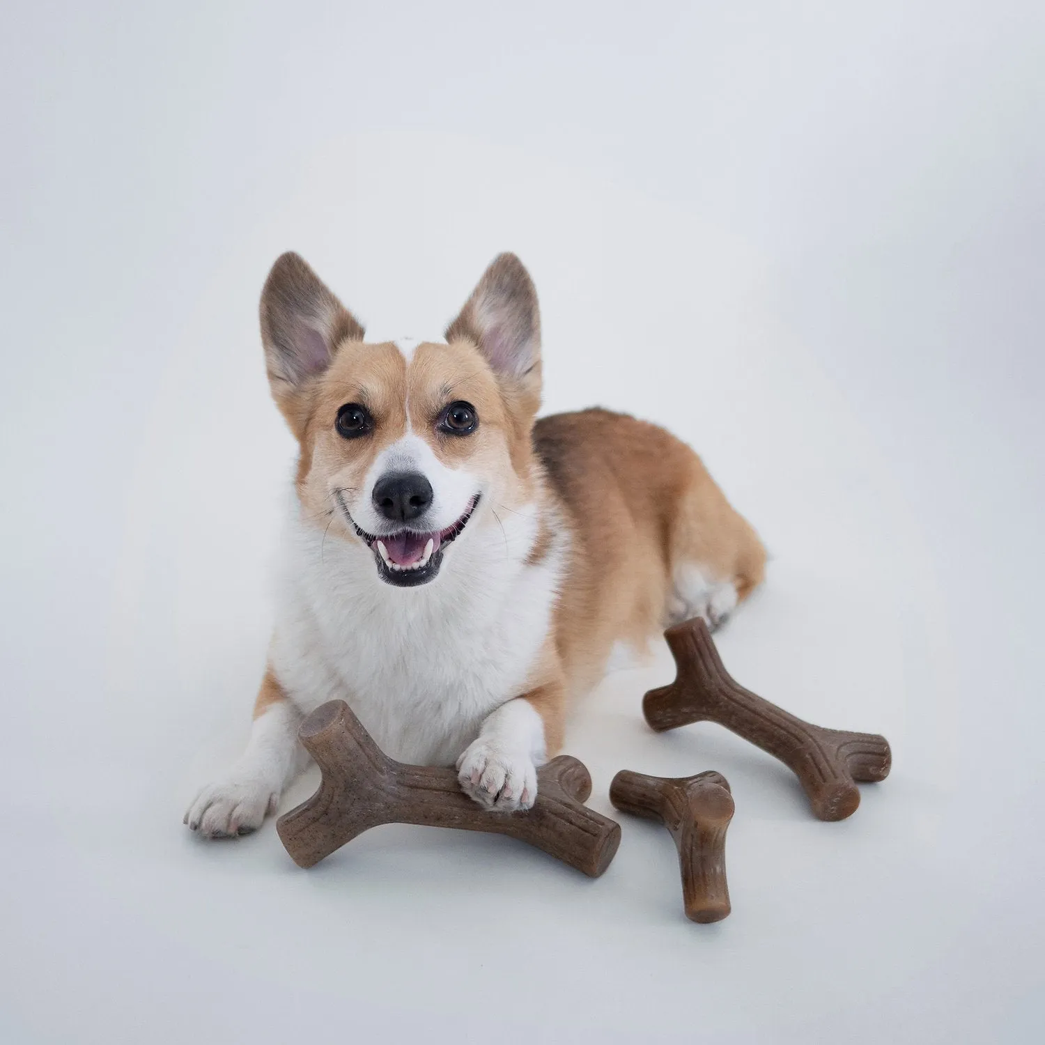 Benebone Flavored Stick Tough Dog Chew Toy