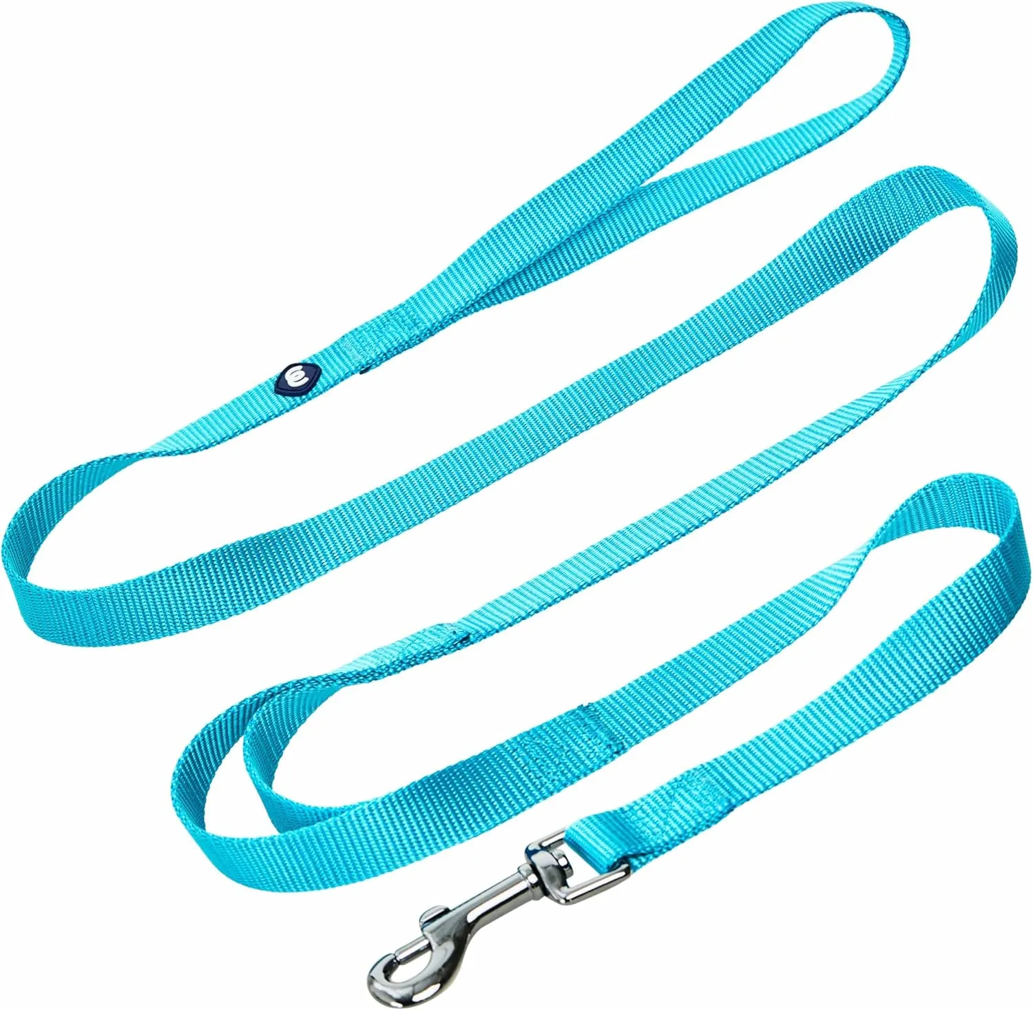 Blueberry Pet Essentials Double Handle Dog Leash for Traffic Control | 4ft. x 1" Large Dog Leash | Classic Dog Leash with Two Handles for Dogs That Pull | Nylon 2 Handle Dog Leash in Turquoise