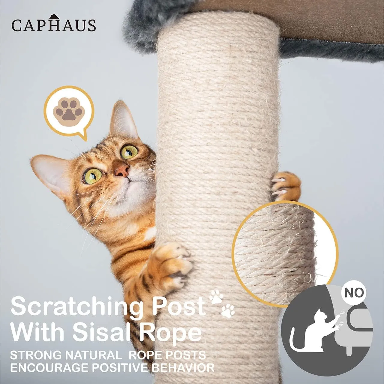 CAPHAUS Kittens Tower with 2-Door Large Cave Condo, Activity Indoor Cat Tree with Large Widened Perch, Multi-Level with Cute Cats Scratching Posts, Modern Ramp, 37-Inch Activity Tree for Small Cats