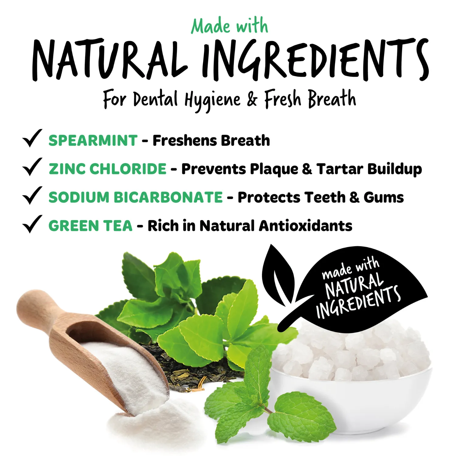 Dental Care Foam in Fresh Mint for Dogs & Cats
