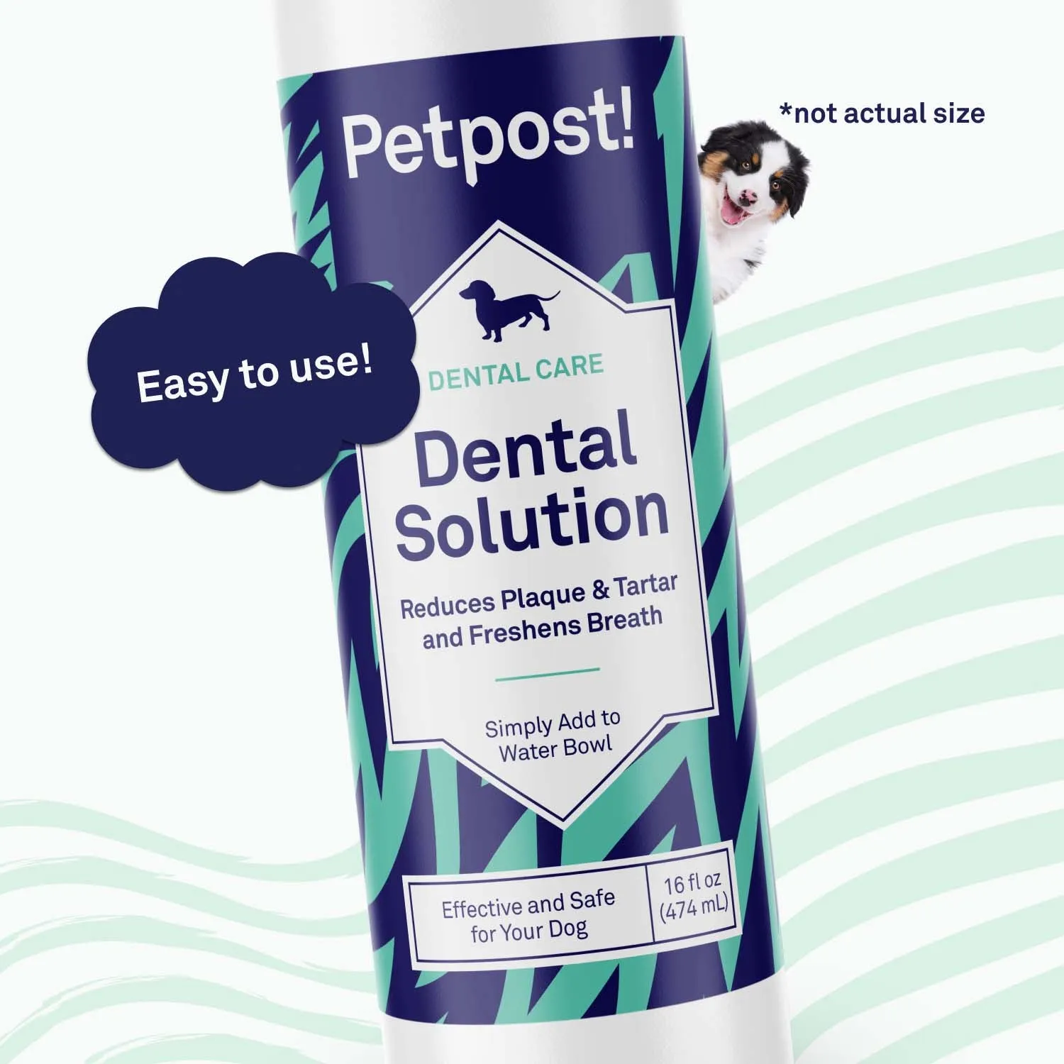 Dental Solution