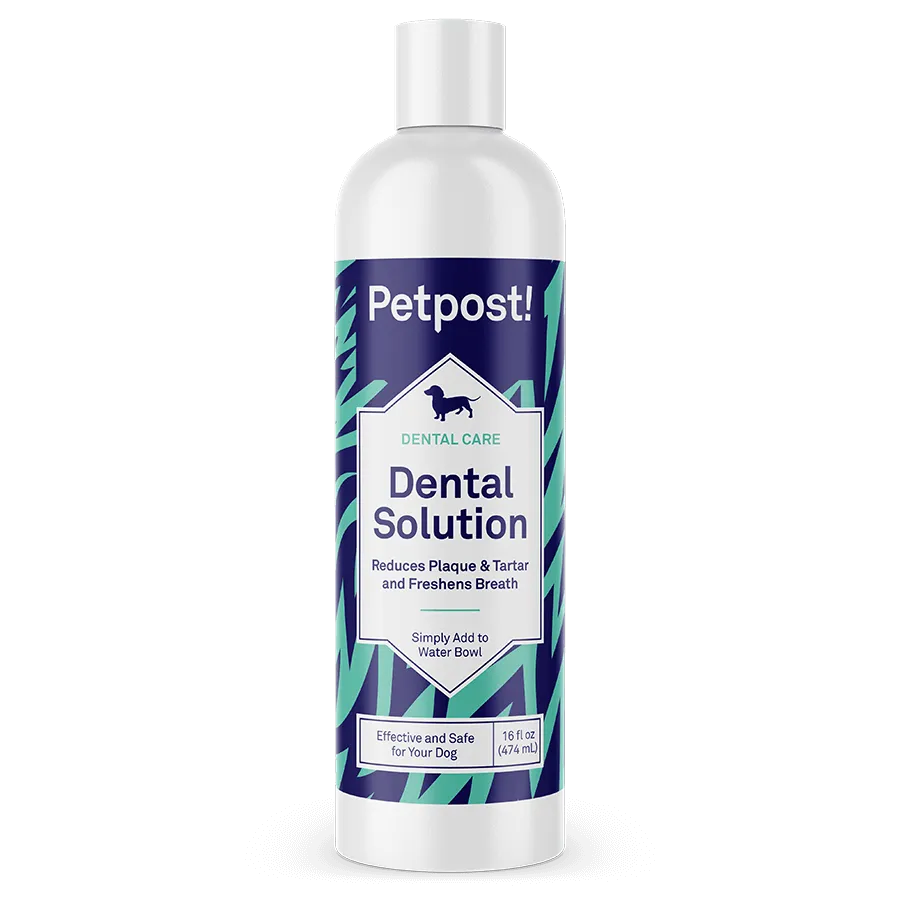 Dental Solution