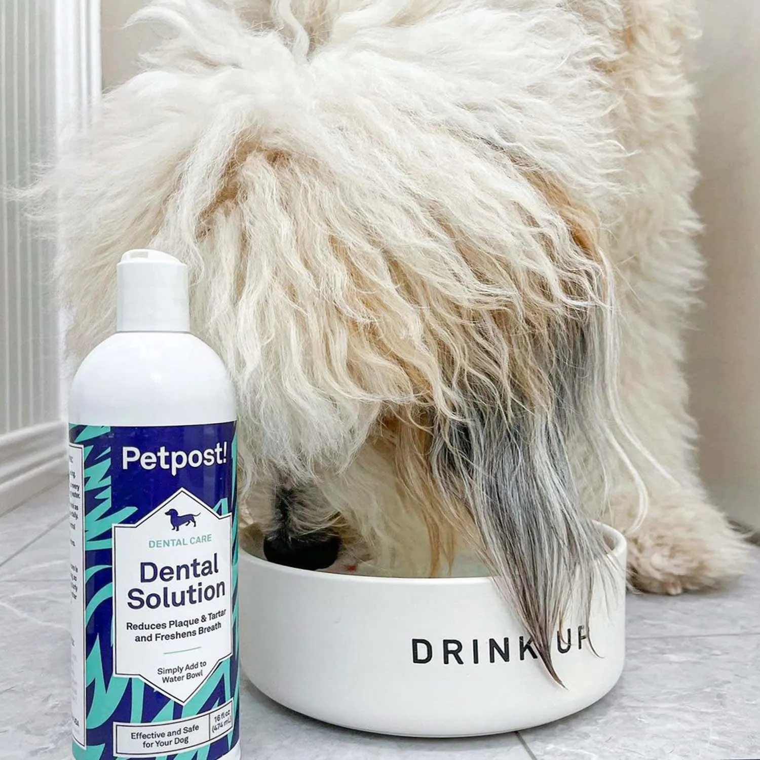 Dental Solution