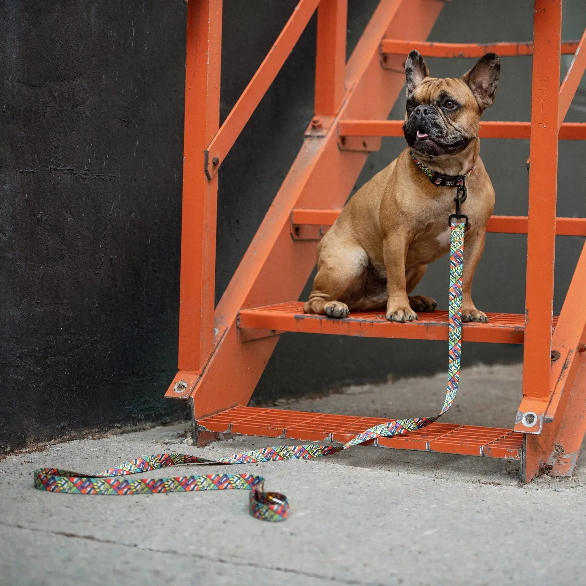 Dog Leash | Comic Book