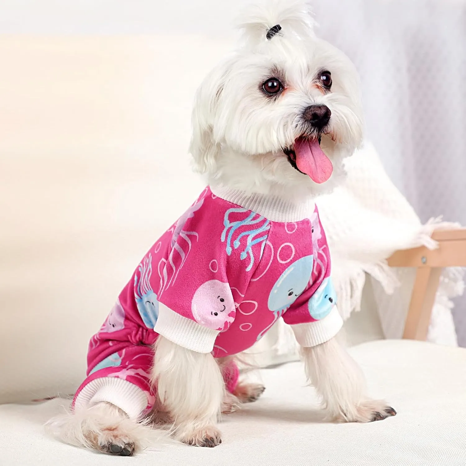 Dog Pajamas for Small Dogs Girl Boy Soft Cute Pet Pjs Fall Winter Warm Puppy Onesie Pet Clothes Stretchable Jumpsuits Puppy Sweaters Outfits for Chihuahua Yorkie Cat (Jellyfish, M)