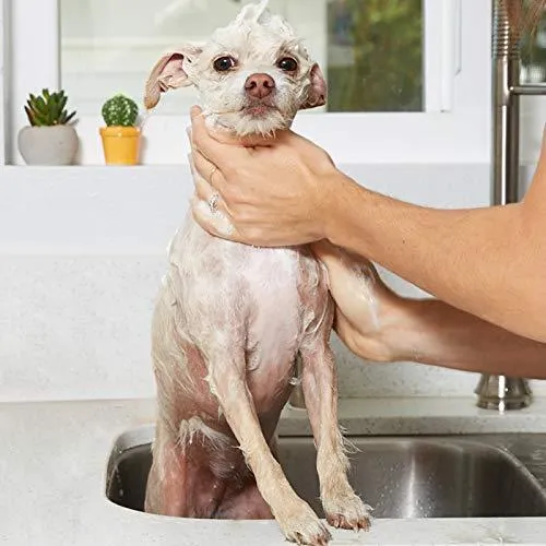 Dog Shampoo For Dry Itchy Skin - Smelly Dogs Cats Oatmeal Shampoo and Conditioner Medicated Formula Clinical Aloe Vera Pet Wash for Puppy Kitten Kitty Cat Dry Itchy Sensitive Shedding Skins - 1 Gallon