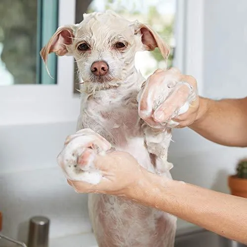 Dog Shampoo For Dry Itchy Skin - Smelly Dogs Cats Oatmeal Shampoo and Conditioner Medicated Formula Clinical Aloe Vera Pet Wash for Puppy Kitten Kitty Cat Dry Itchy Sensitive Shedding Skins - 1 Gallon