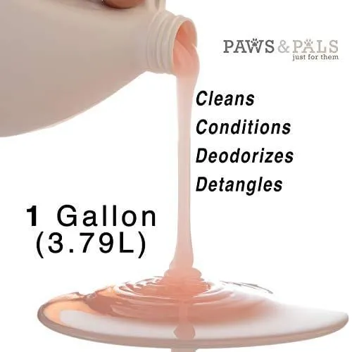 Dog Shampoo For Dry Itchy Skin - Smelly Dogs Cats Oatmeal Shampoo and Conditioner Medicated Formula Clinical Aloe Vera Pet Wash for Puppy Kitten Kitty Cat Dry Itchy Sensitive Shedding Skins - 1 Gallon