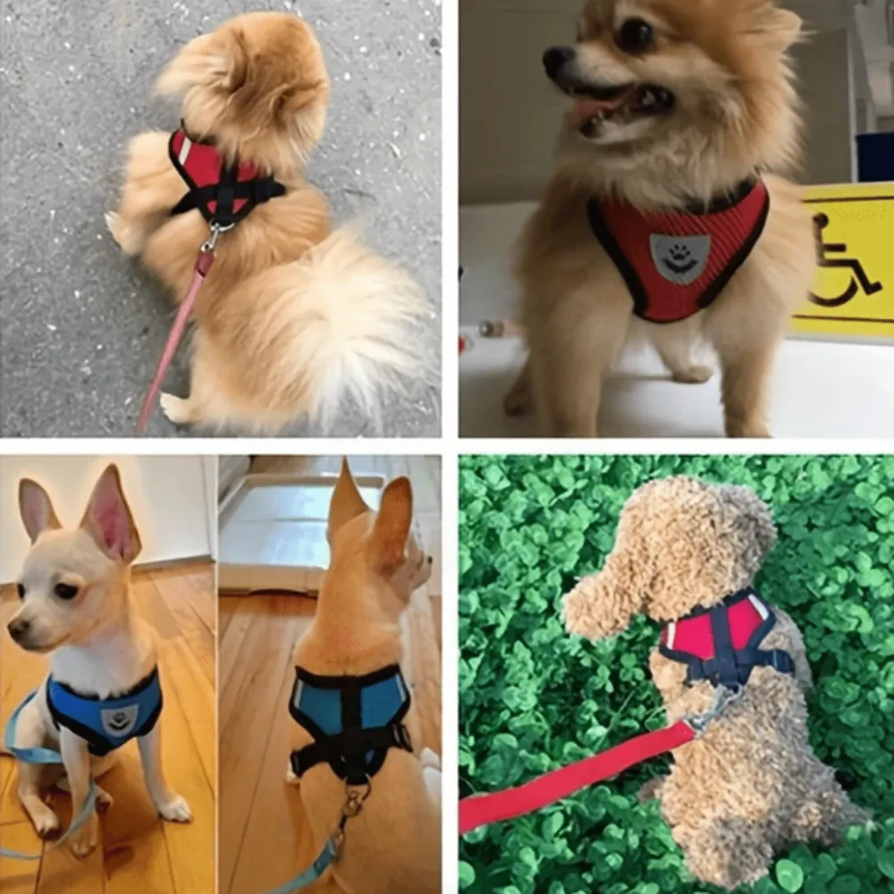 dogs harness night reflective glowing petsafe around waist leash collar ✈️ free.shipping