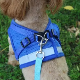 dogs harness night reflective glowing petsafe around waist leash collar ✈️ free.shipping