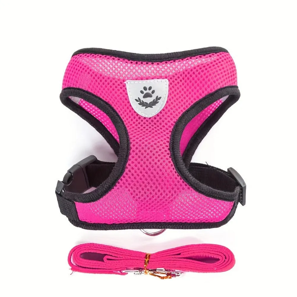 dogs harness night reflective glowing petsafe around waist leash collar ✈️ free.shipping