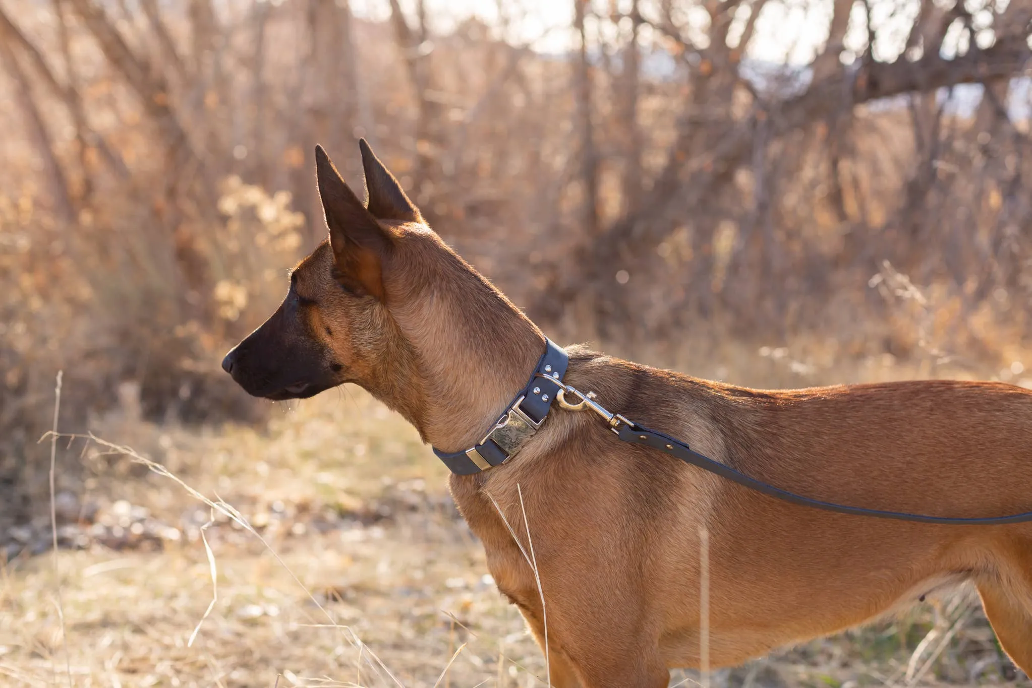 Euro Dog Leather Leashes