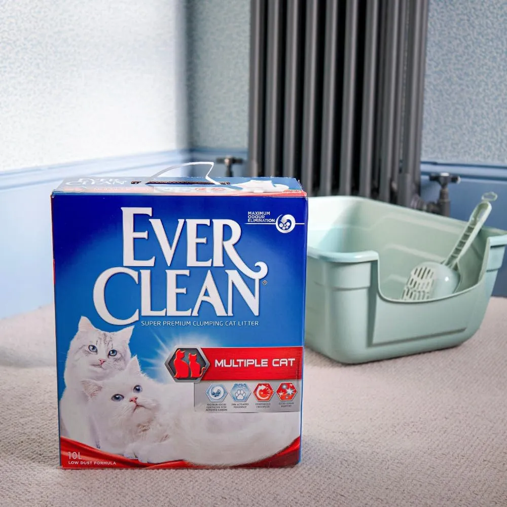 Ever Clean ,10,
