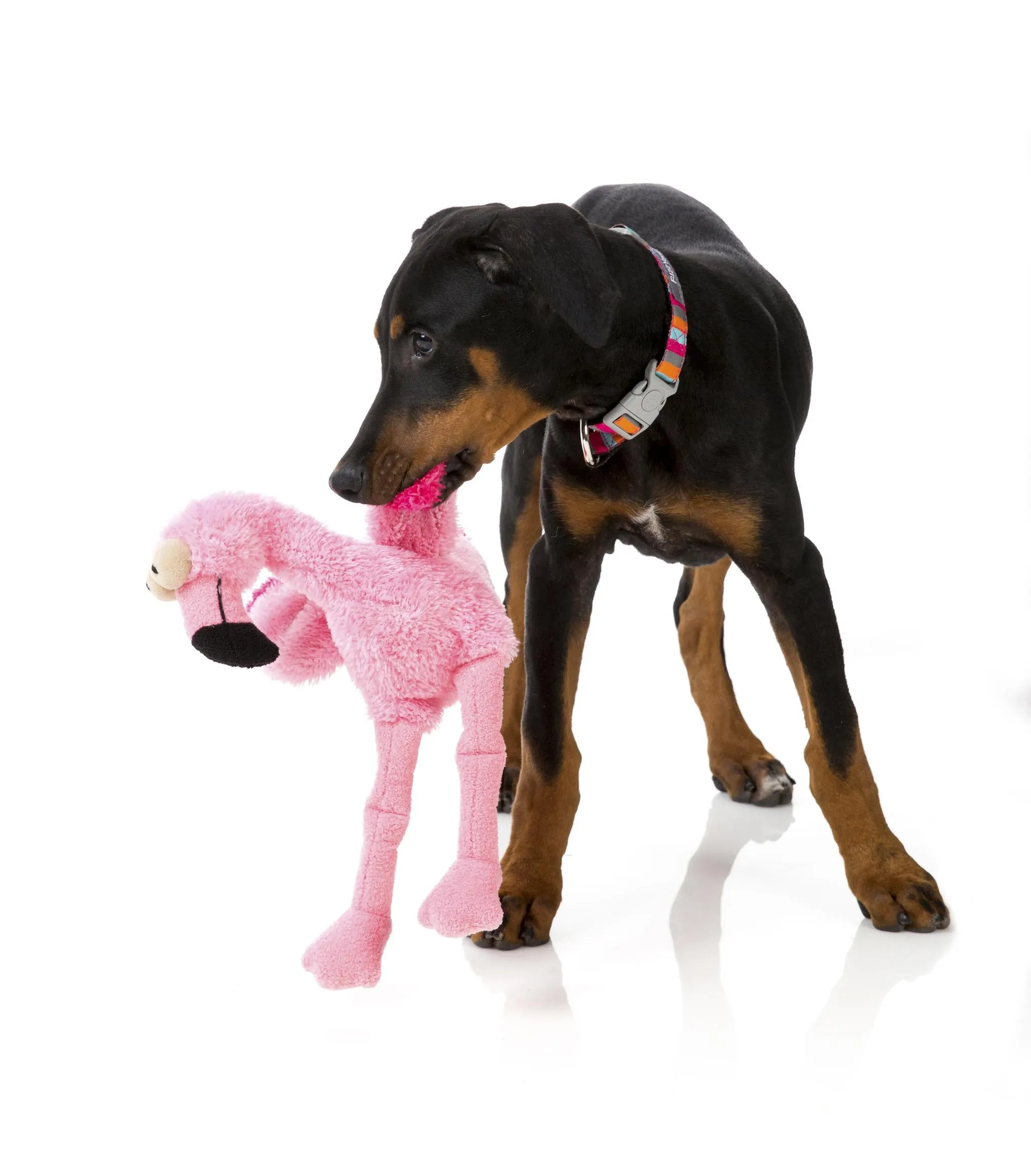 FuzzYard Flo The Flamingo Dog Toy Large