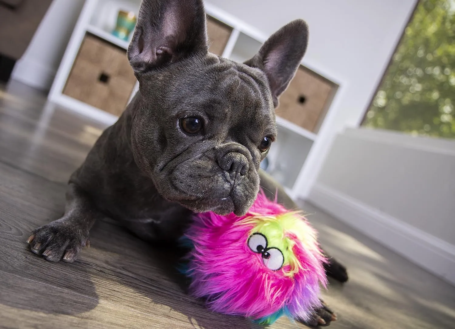 goDog Furballz Squeaky Plush Ball Dog Toy, Chew Guard Technology - Rainbow, Medium