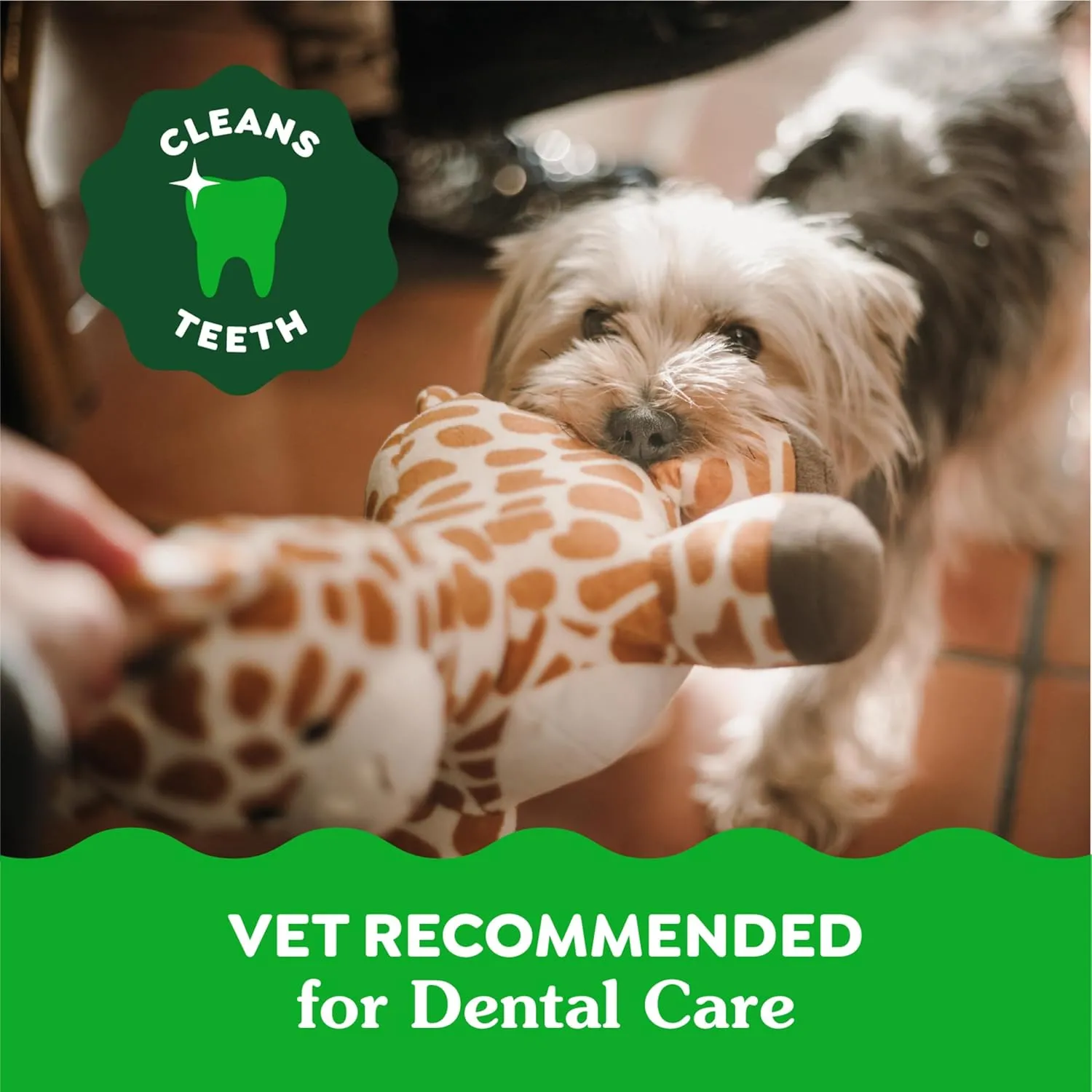 Greenies Aging Care Petite Natural Dental Care Dog Treats, 27 oz. Pack (45 Treats)