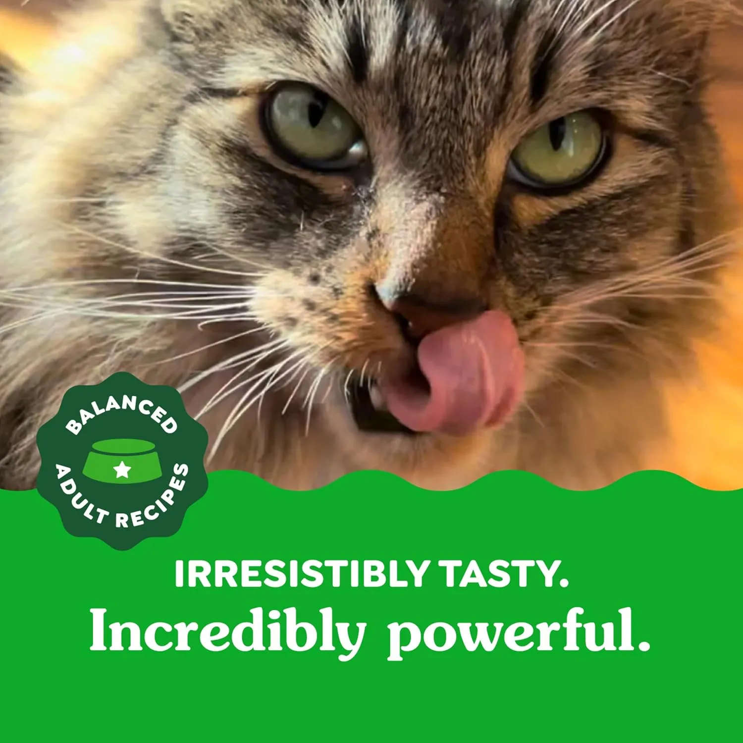 Greenies Feline Adult Natural Dental Care Cat Treats, Tempting Tuna Flavor, 4.6 oz. Pouch