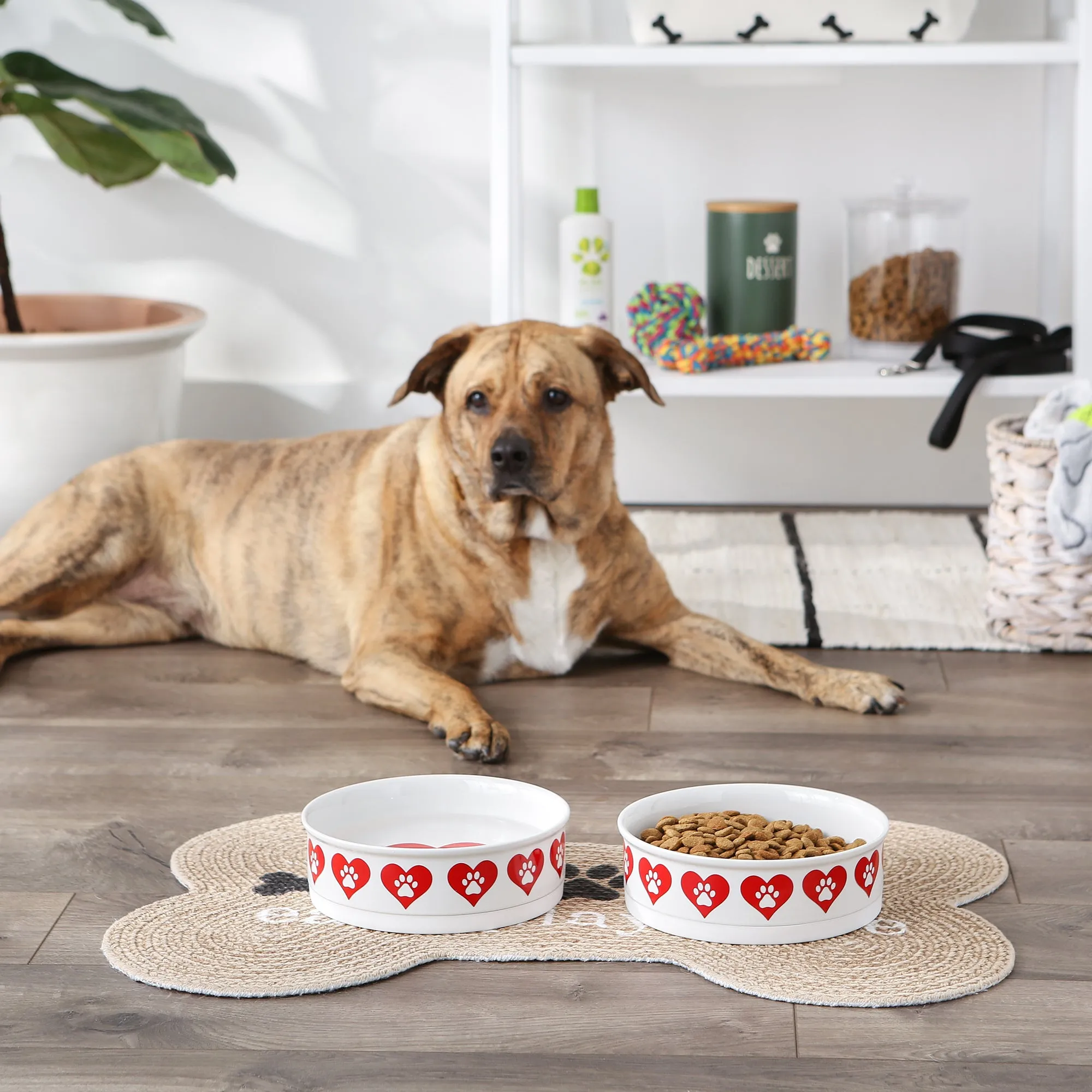 Heart Paw Pet Bowl Set/2, Large 3.75 C. Capacity