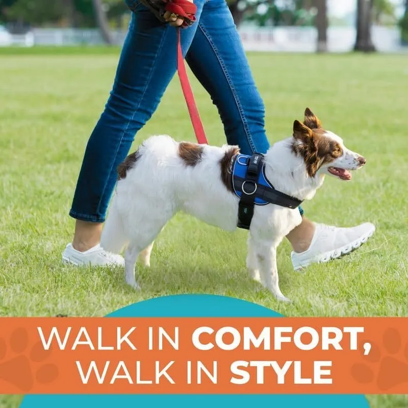 Joyride Premium Advanced Dog Harness 2.0 (Solid Colors)