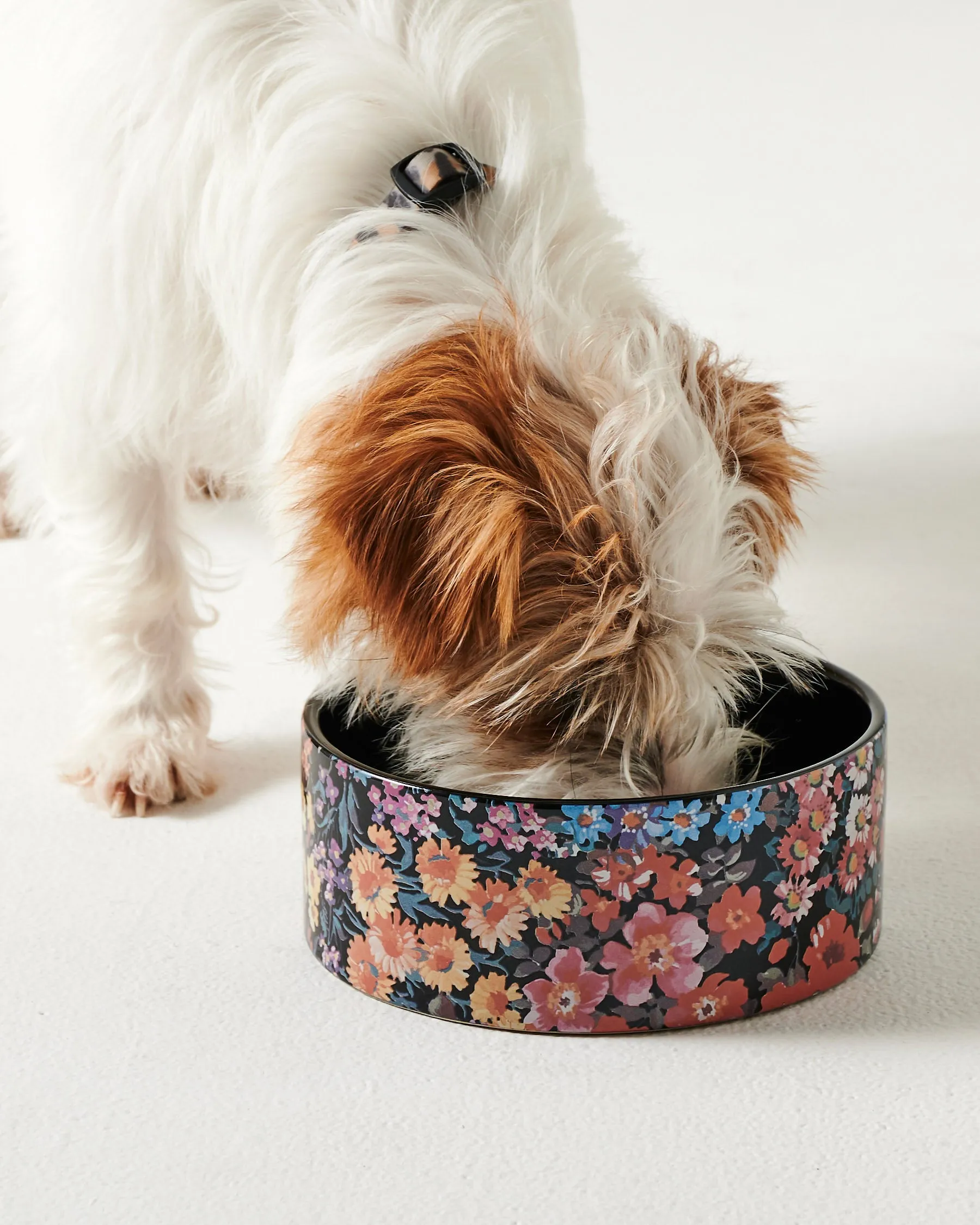 Kip & Co Forever Floral Black Dog Bowl
