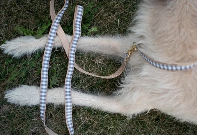 Leash | Gray Buffalo Check