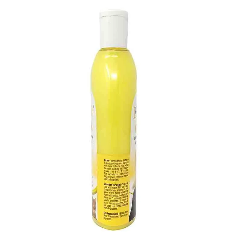 Lozalo Cantaloupe Conditioning Shampoo for Dogs and Cats