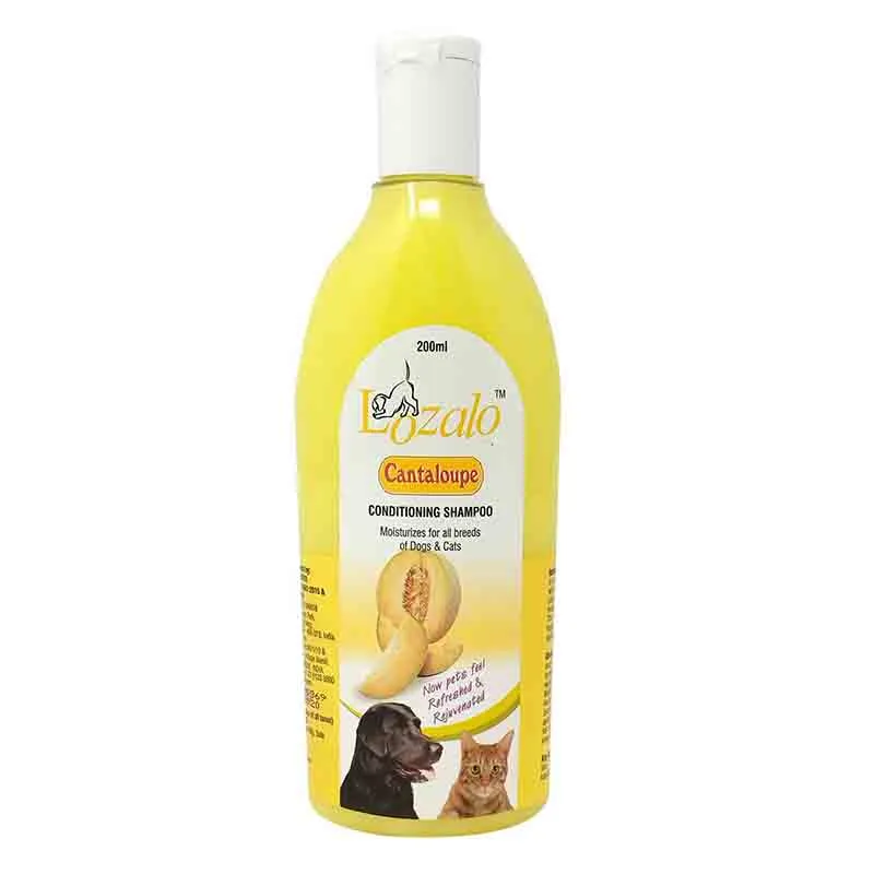 Lozalo Cantaloupe Conditioning Shampoo for Dogs and Cats