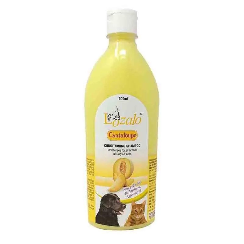 Lozalo Cantaloupe Conditioning Shampoo for Dogs and Cats