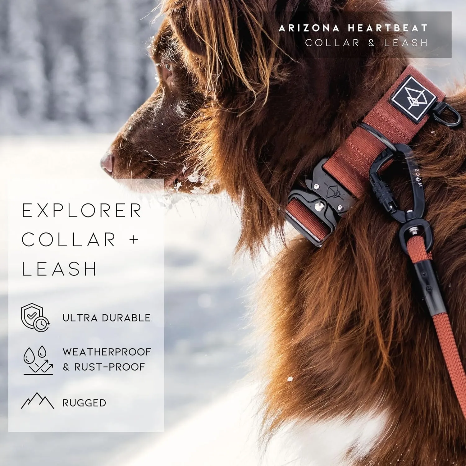 Made to ROAM Premium Dog Collar - Adjustable Heavy Duty Nylon Collar with Quick-Release Metal Buckle (Oregon Haze, Classic Size 0)