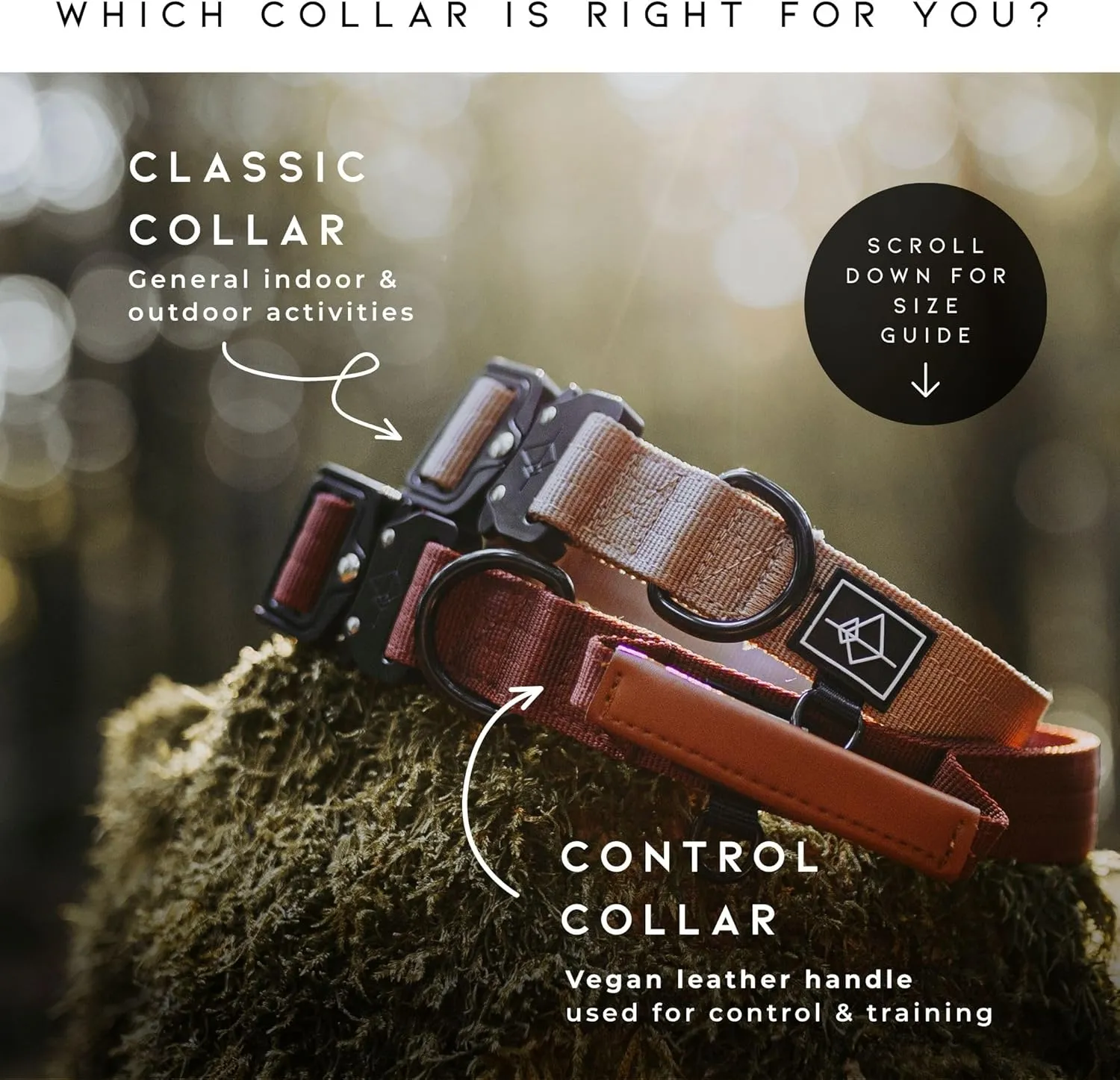 Made to ROAM Premium Dog Collar - Adjustable Heavy Duty Nylon Collar with Quick-Release Metal Buckle (Oregon Haze, Classic Size 0)