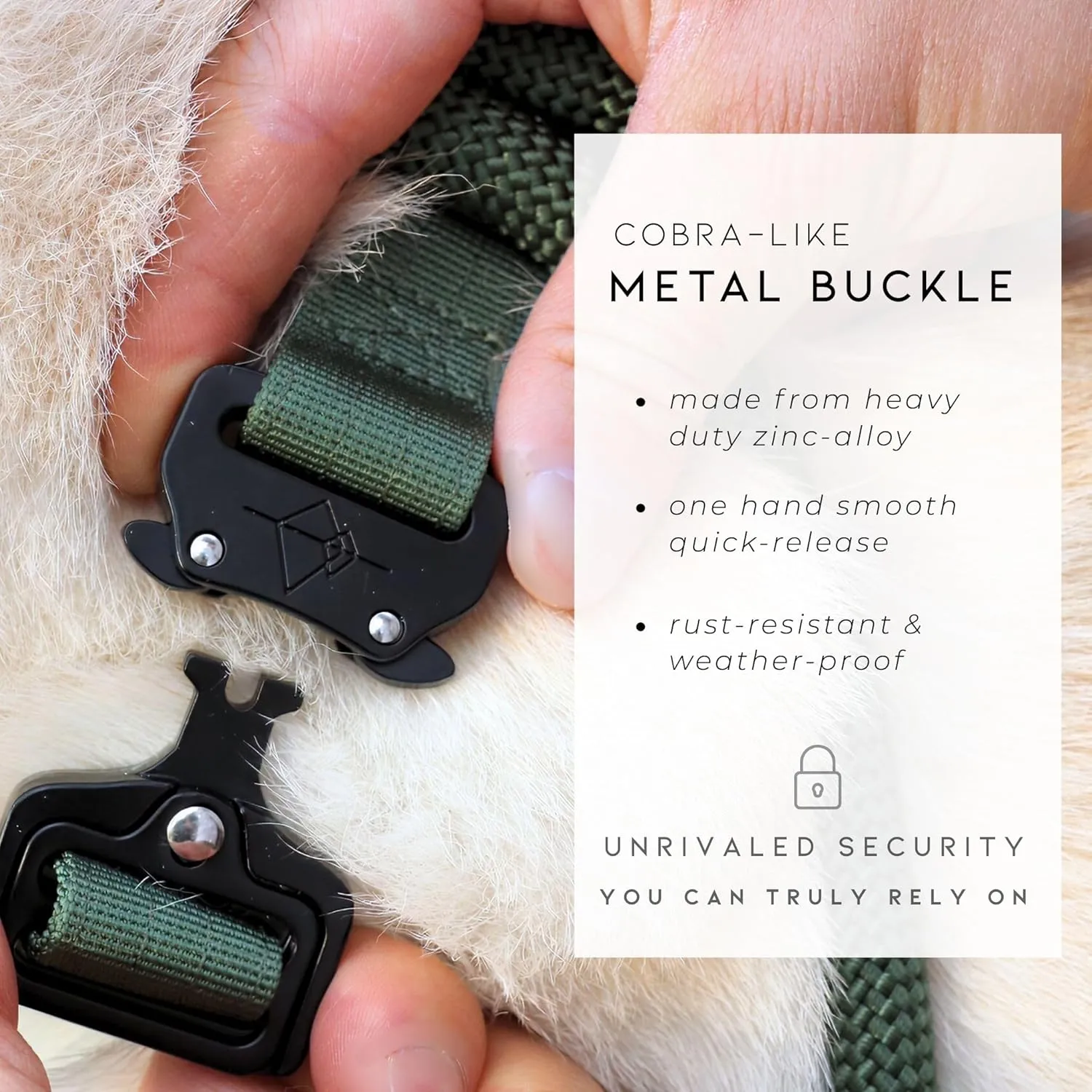 Made to ROAM Premium Dog Collar - Adjustable Heavy Duty Nylon Collar with Quick-Release Metal Buckle (Oregon Haze, Classic Size 0)
