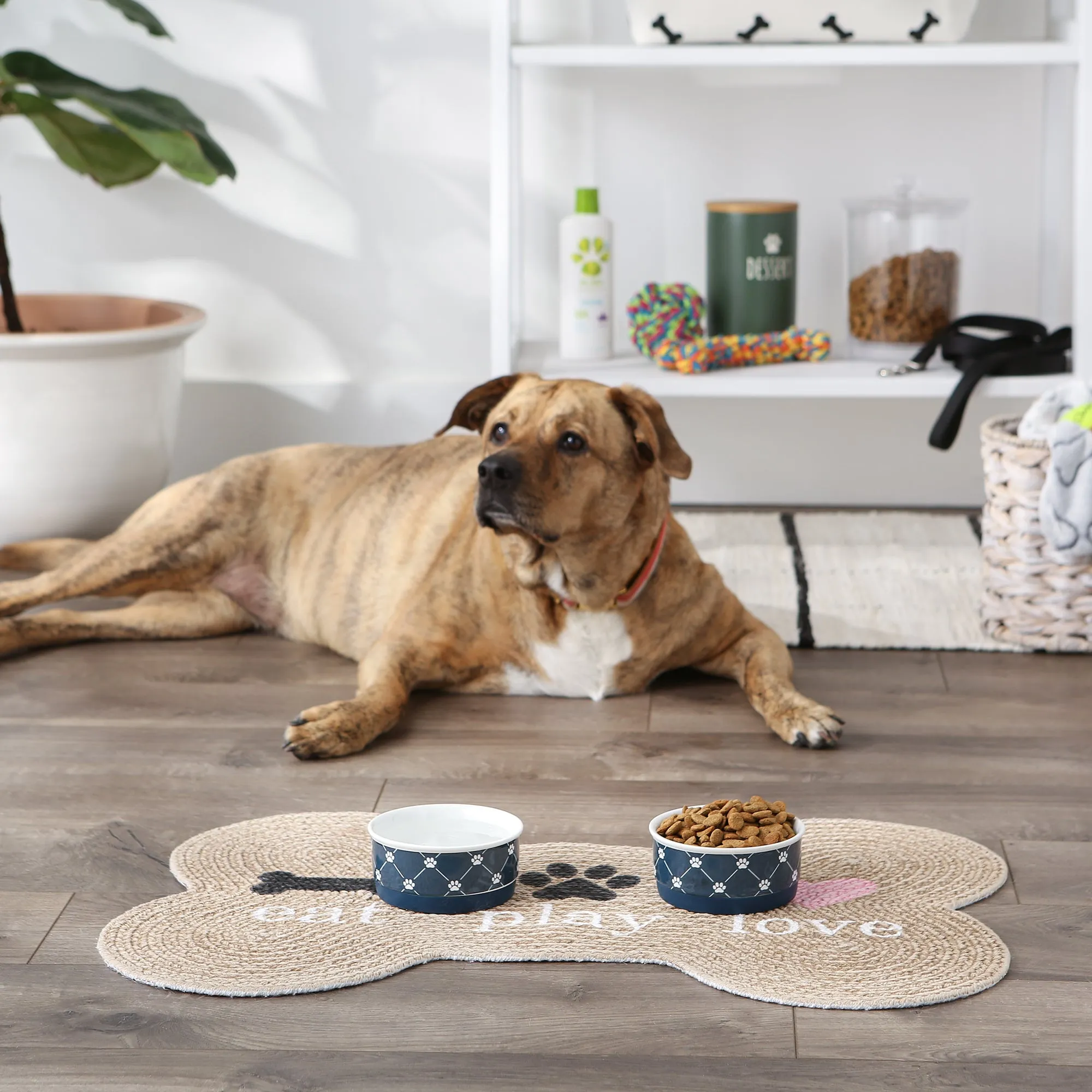 Navy Trellis Paw Print Pet Bowl Set/2, Small - 3/4 C Capacity
