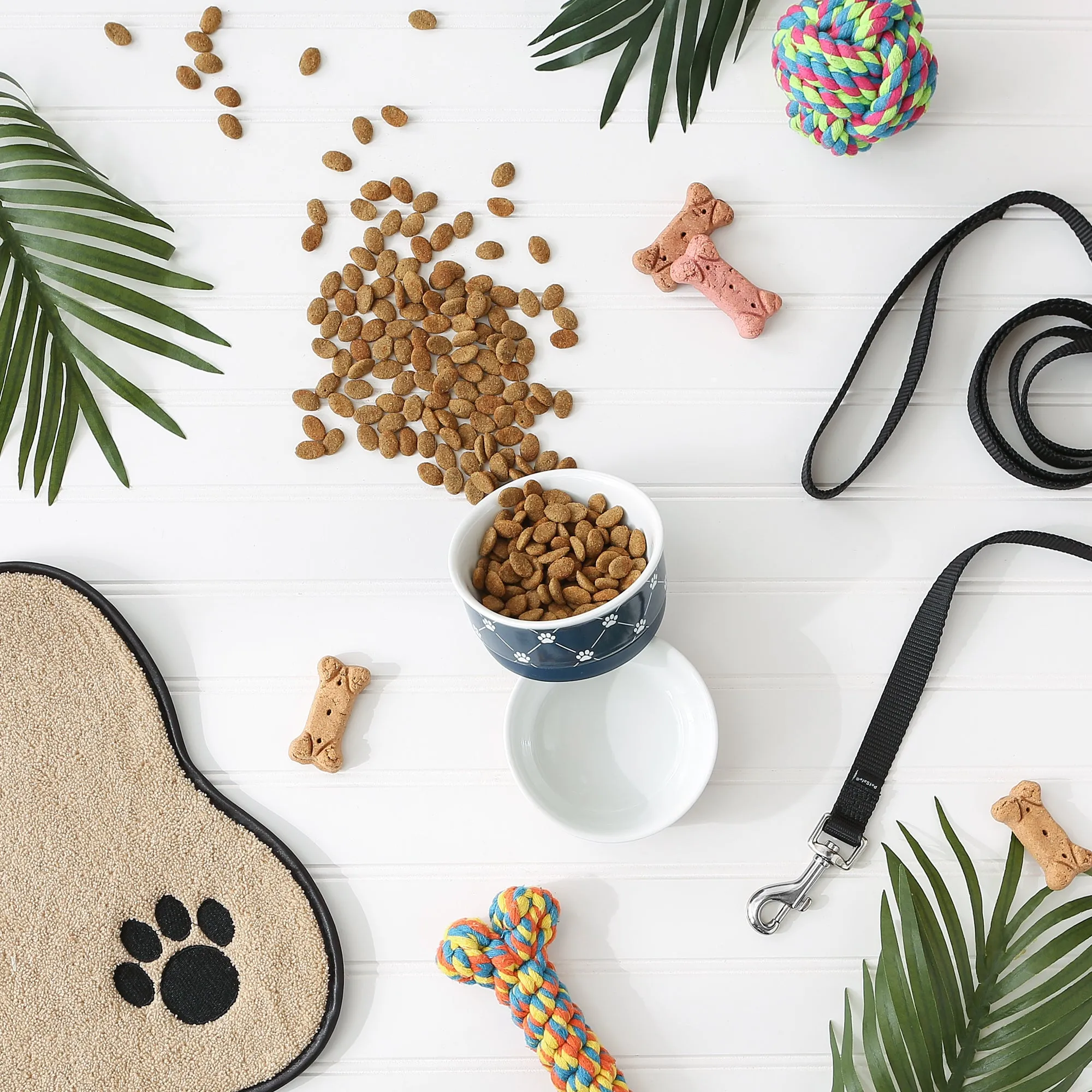 Navy Trellis Paw Print Pet Bowl Set/2, Small - 3/4 C Capacity
