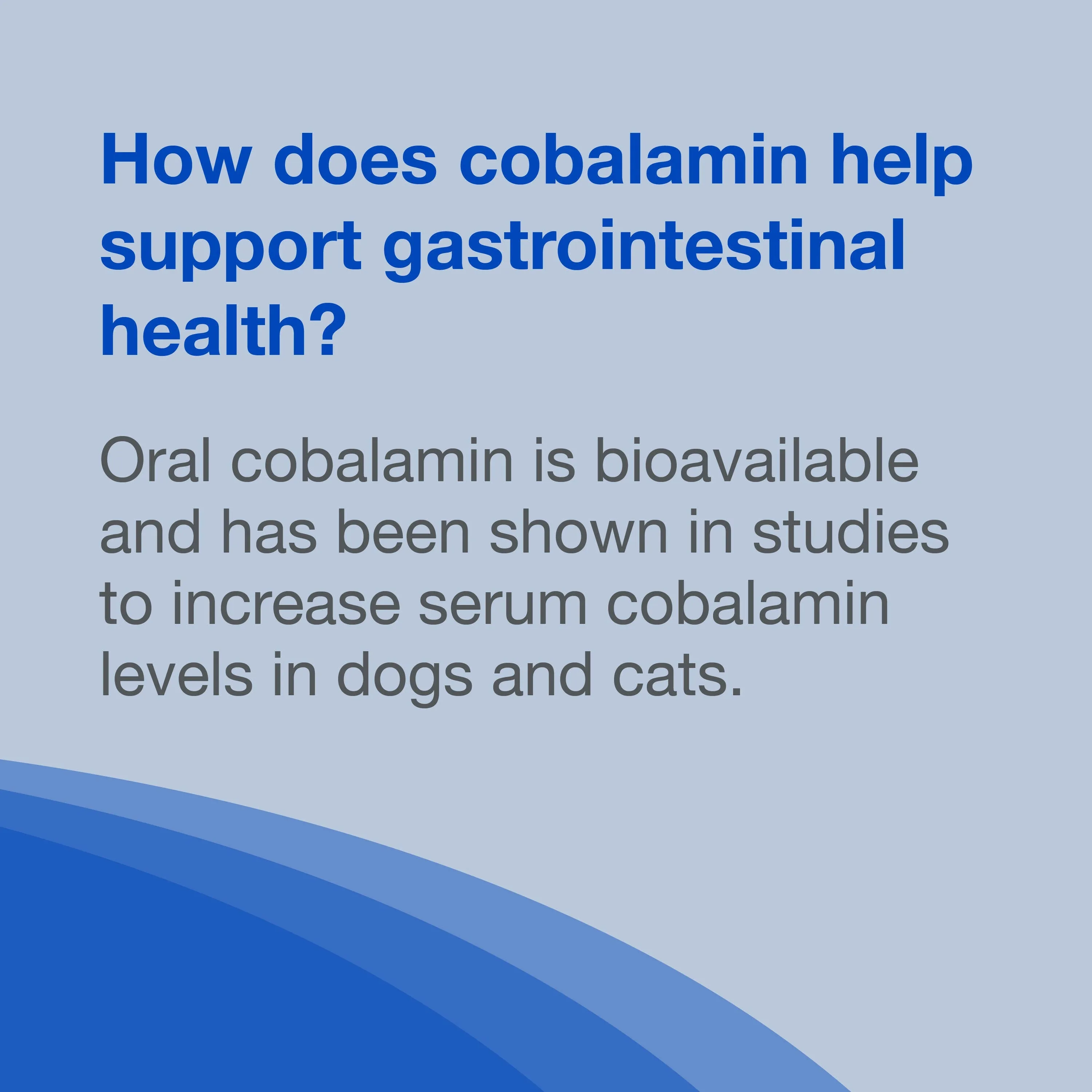 Nutramax Cobalequin B12 Supplement for Cats and Small Dogs, 45 Chewable Tablets