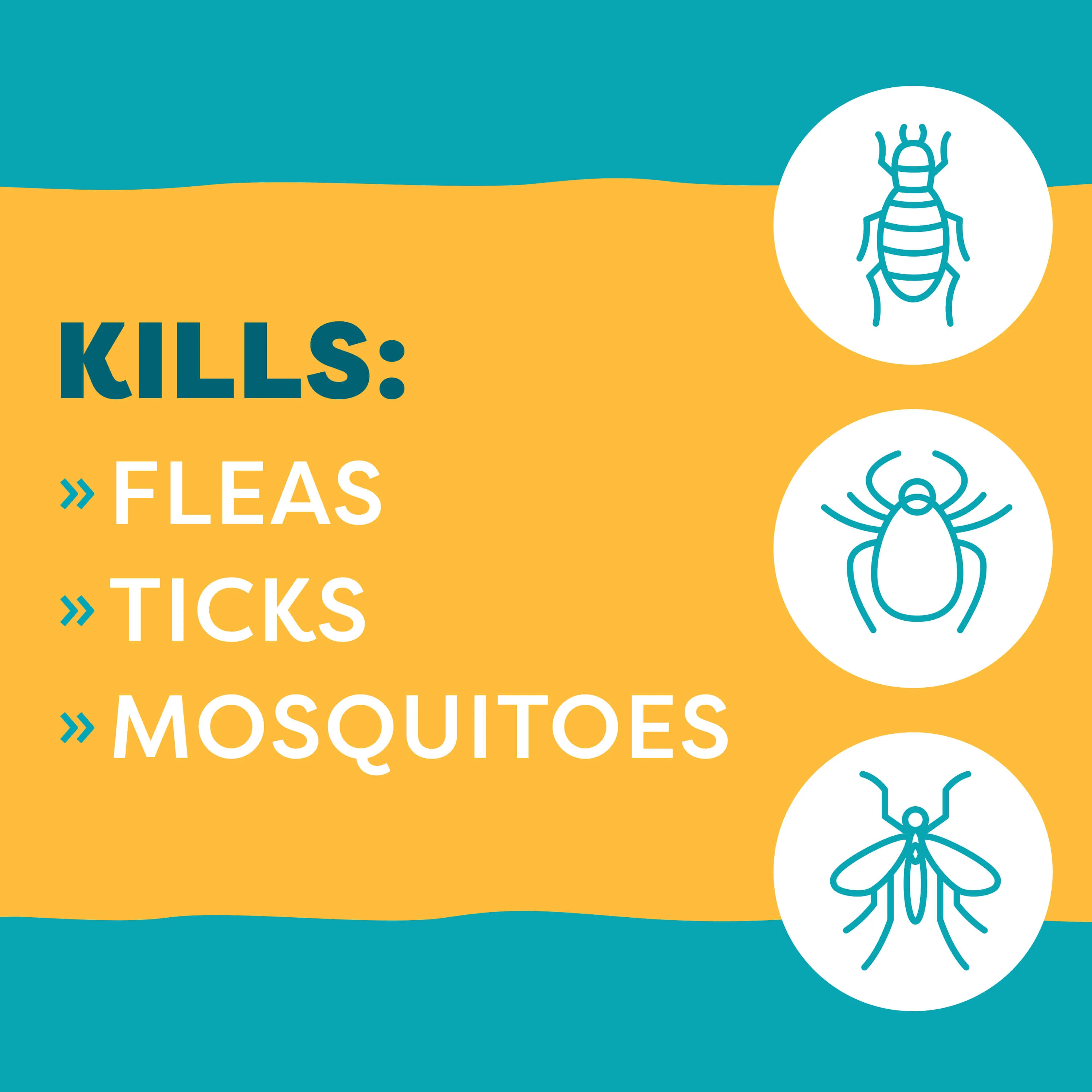 Only Natural Pet EasyDefense Flea & Tick Home Spray for Dogs & Cats