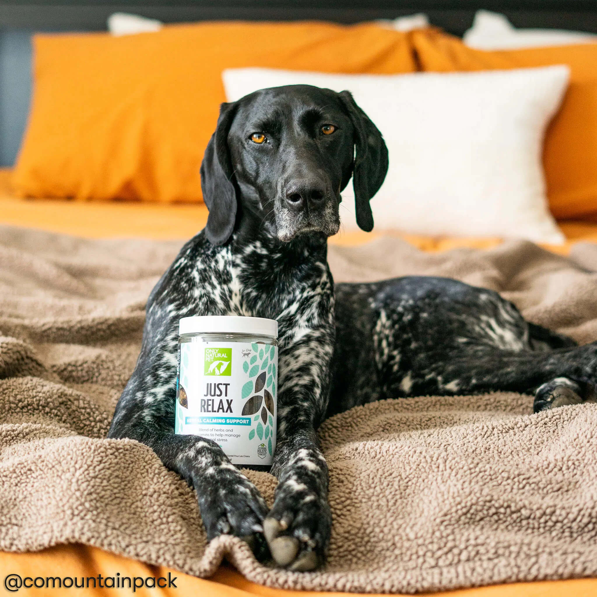 Only Natural Pet Just Relax Calming Chews for Dogs