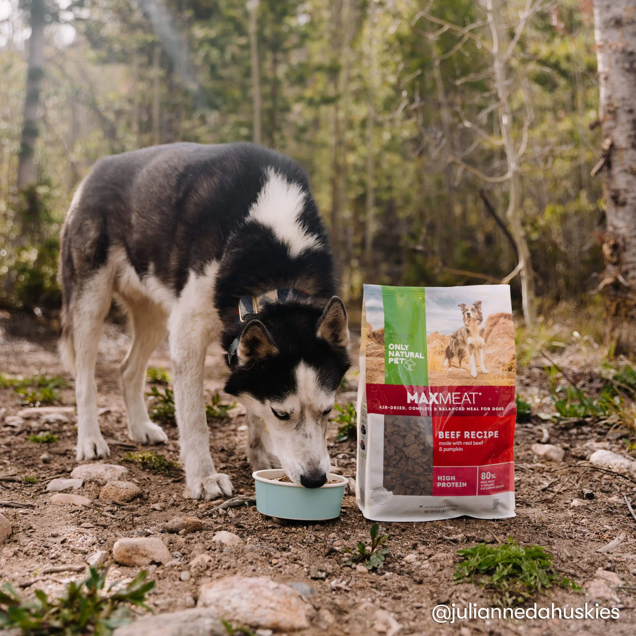 Only Natural Pet MaxMeat Air Dried Dog Food Beef Recipe