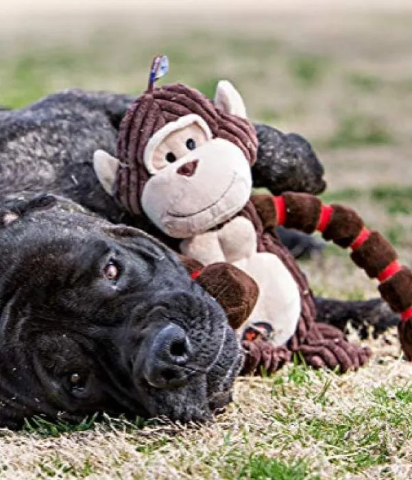 Outward Hound Thunda Tugga Gator Dog Toy