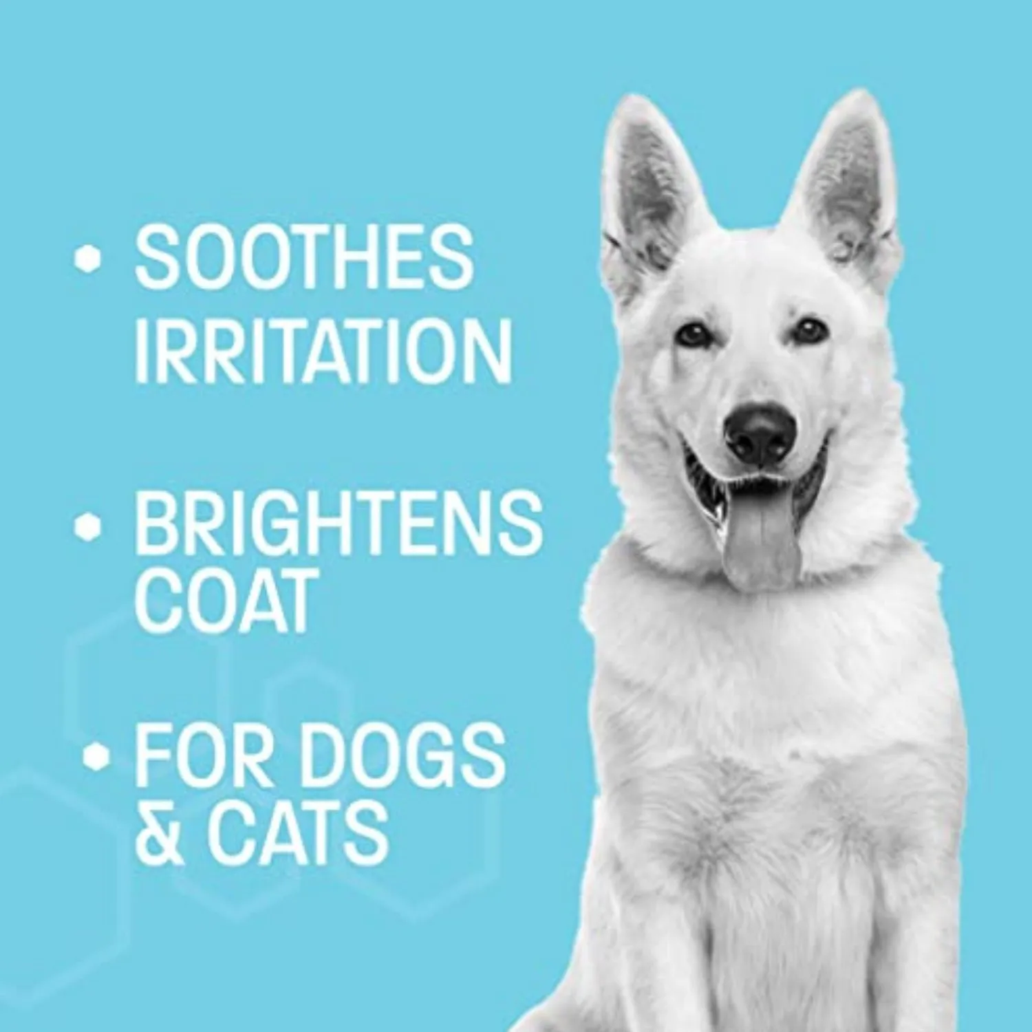 Pet Health Pros Bright Whitening Dog Shampoo, Enhances White Coat, Soothes Skin, Pina Colada Scented, 12 Oz, Clear