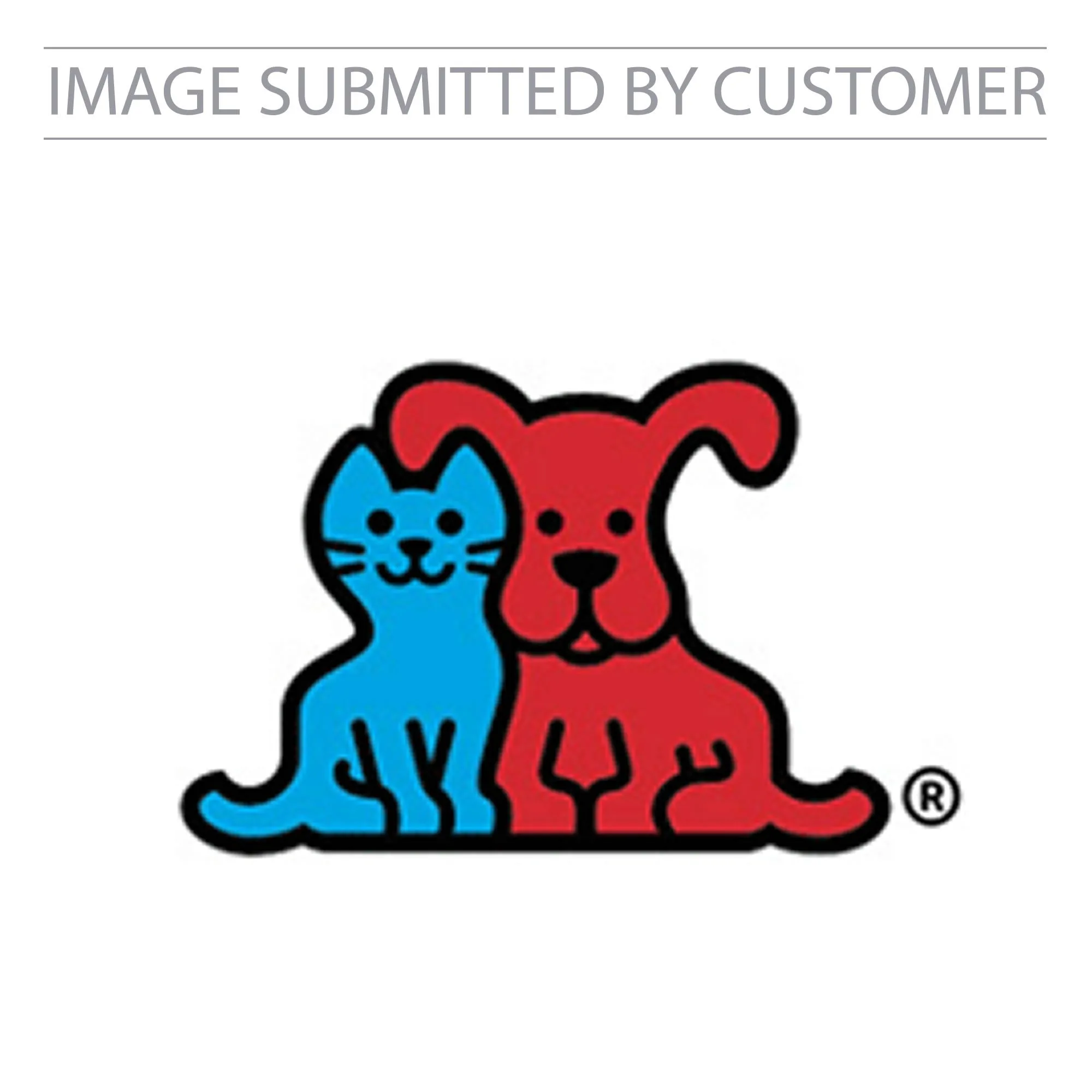 Petco Custom Pinata