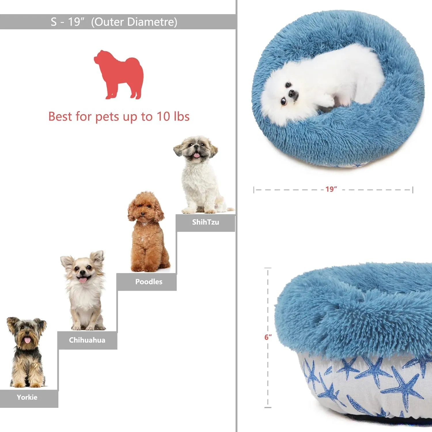 Puppy Beds for Small Dogs Washable 19 Inches Lake Blue Color Matching Starfish Calming and Anxiety Pet Beds Fluffy and Plush Durable Ocean Style Small Dog Bed