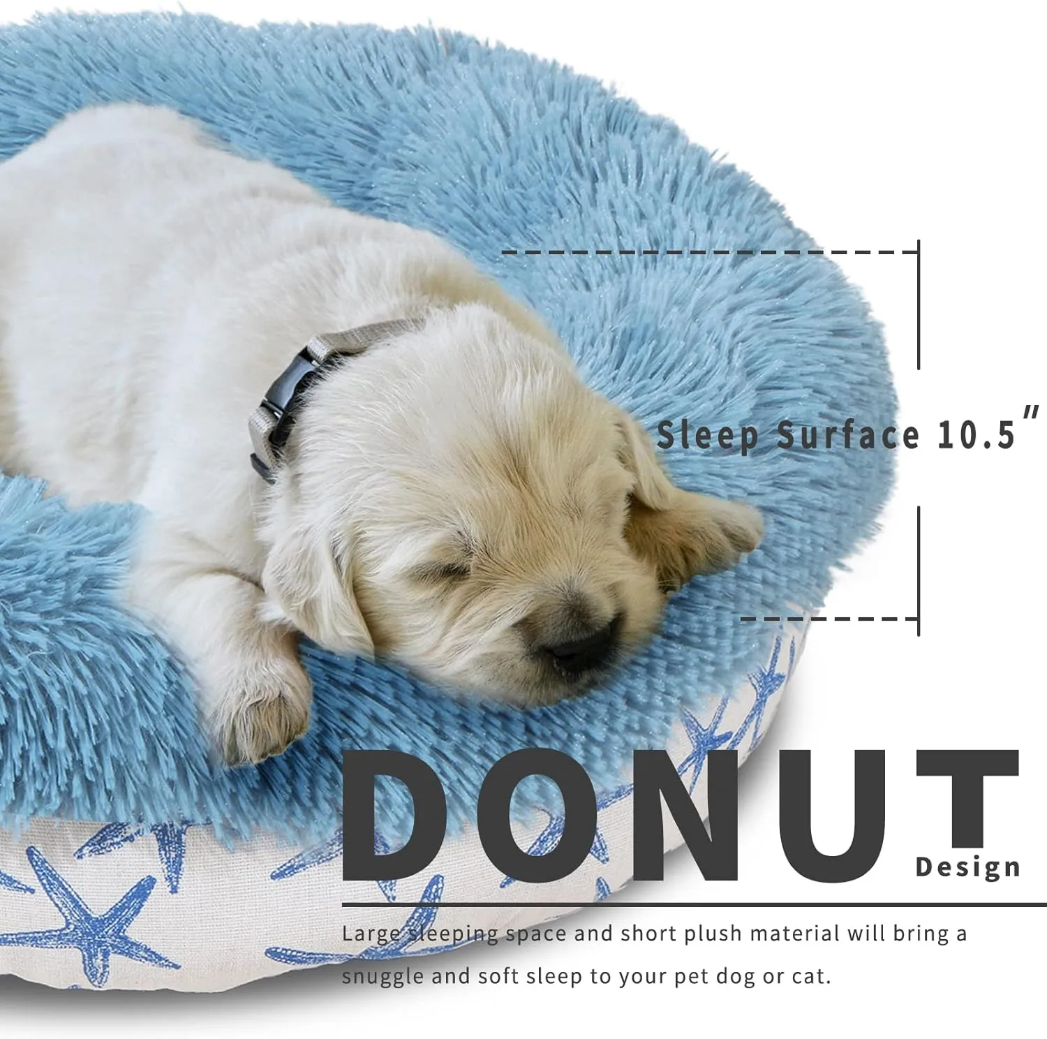 Puppy Beds for Small Dogs Washable 19 Inches Lake Blue Color Matching Starfish Calming and Anxiety Pet Beds Fluffy and Plush Durable Ocean Style Small Dog Bed