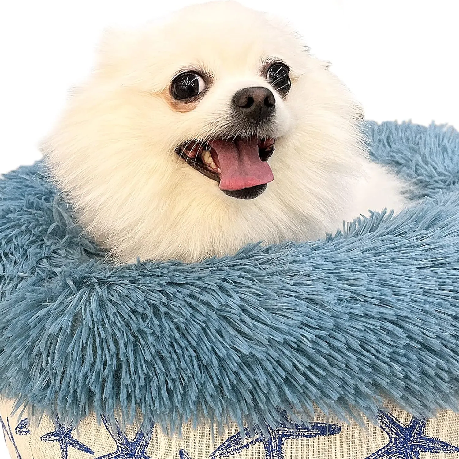 Puppy Beds for Small Dogs Washable 19 Inches Lake Blue Color Matching Starfish Calming and Anxiety Pet Beds Fluffy and Plush Durable Ocean Style Small Dog Bed