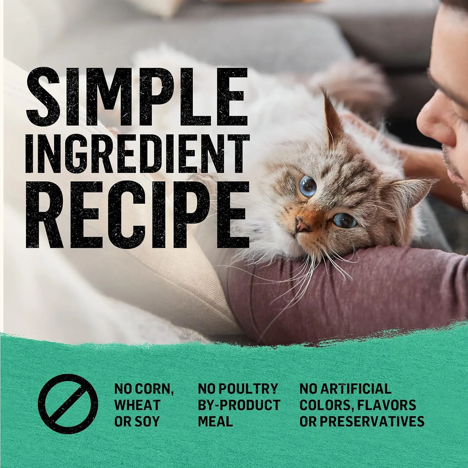 Purina Beyond Natural Grain Free Dry Cat Food Whitefish and Egg Recipe With Added Vitamins, Minerals and Nutrients - 11 lb. Bag