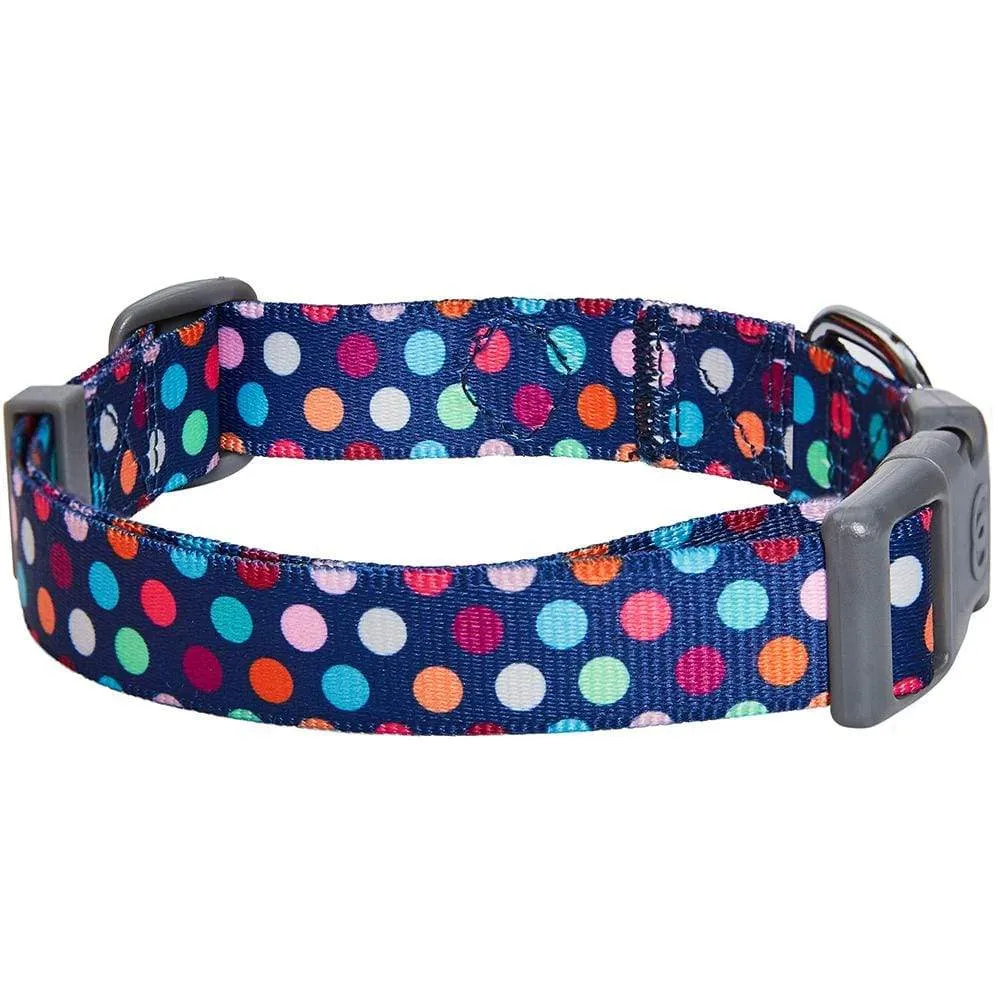 Rainbow Polka Dots Dog Collar for Stylish Pups