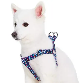 Rainbow Polka Dots Dog Harness for Stylish Pets