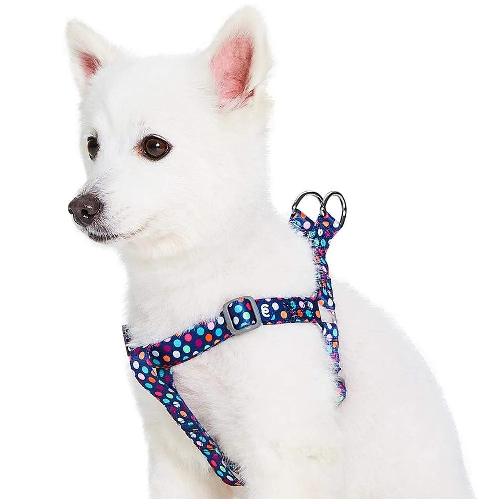 Rainbow Polka Dots Dog Harness for Stylish Pets
